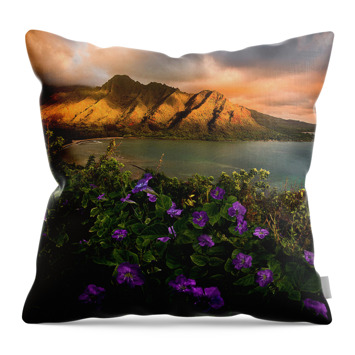  Throw Pillow featuring the photograph Day Break by Micah Roemmling