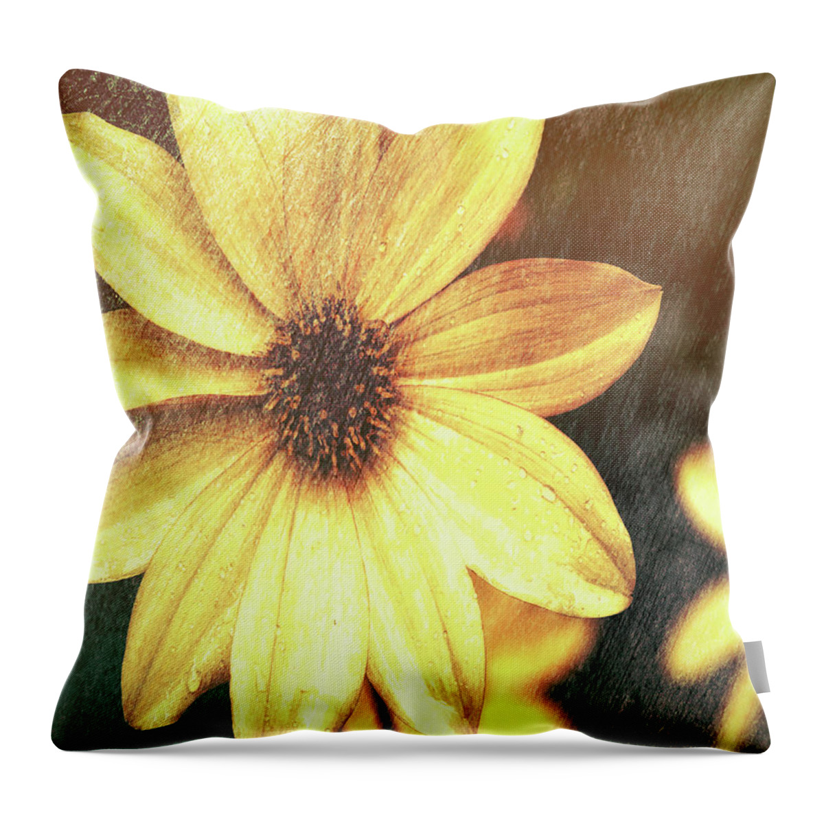 Flower Throw Pillow featuring the photograph Day lily by Barry Weiss