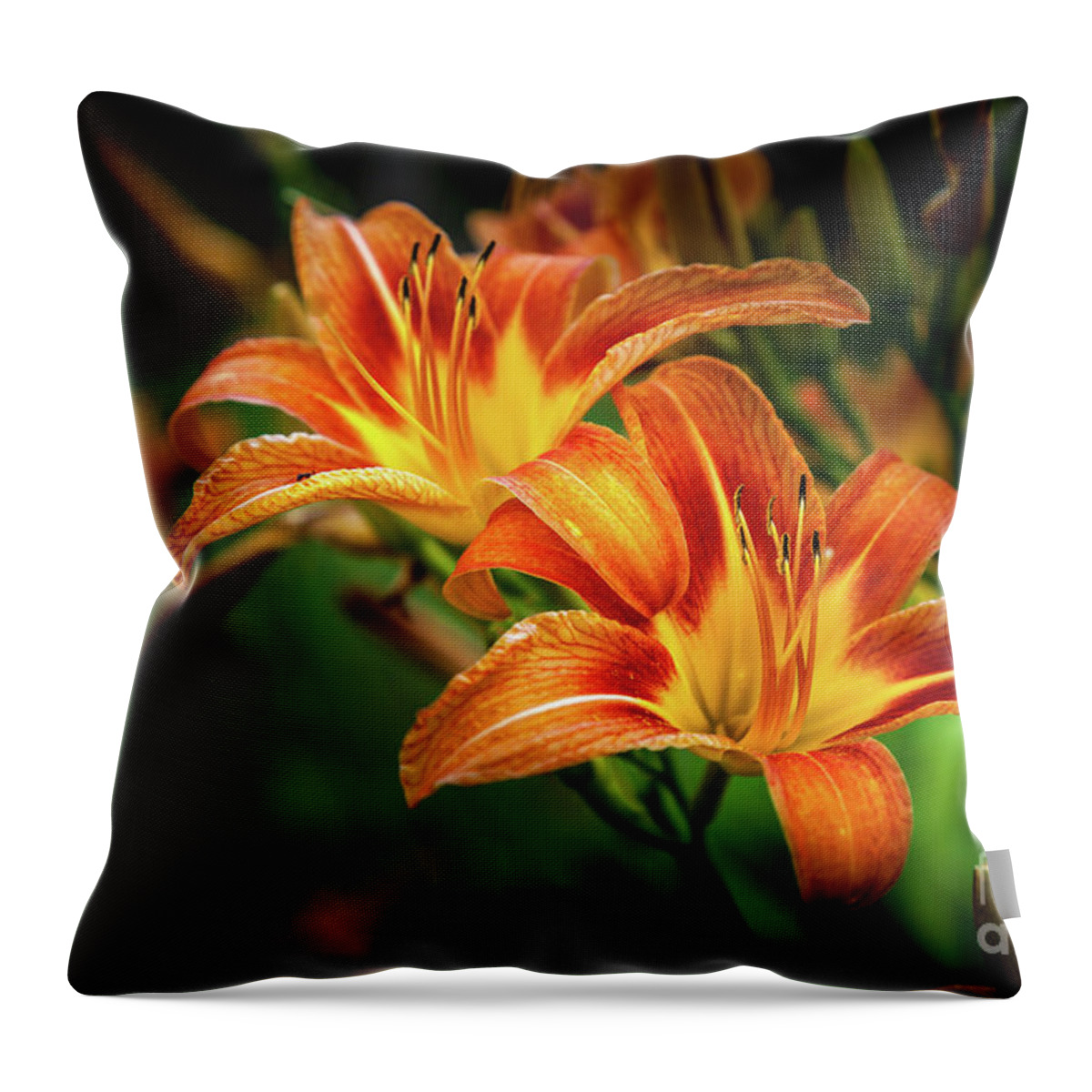 Hemerocallis Fulva Throw Pillow featuring the photograph Day Lily by Roger Monahan