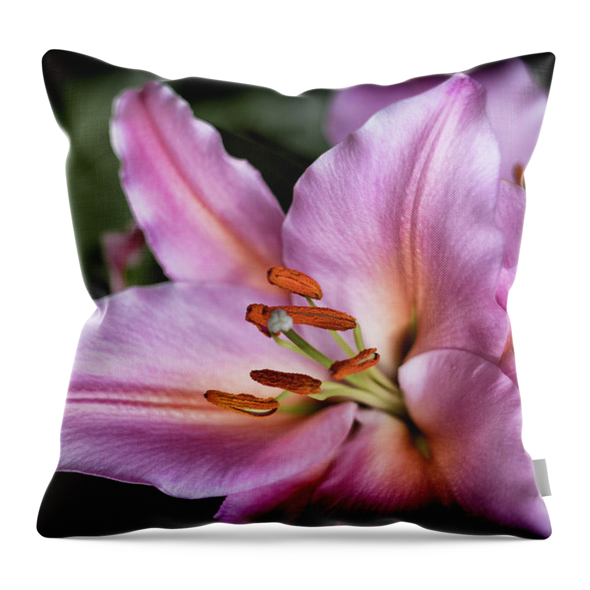Flower Throw Pillow featuring the photograph Day Lily by Scott Wyatt
