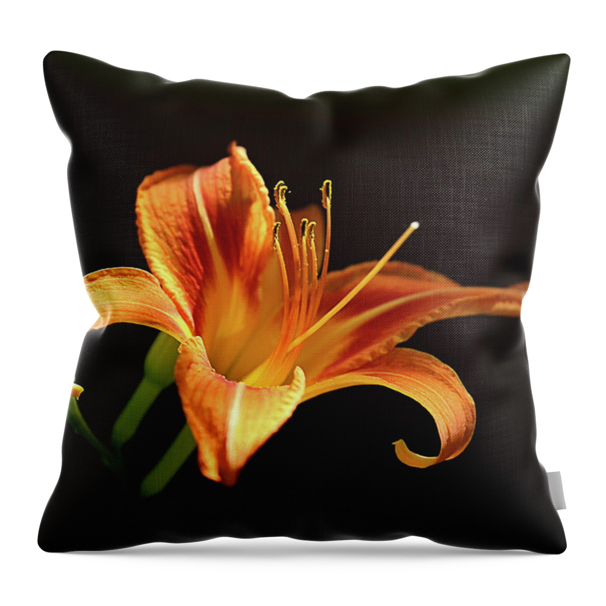 Lilies Throw Pillow featuring the photograph Day Lily by Theresa Campbell