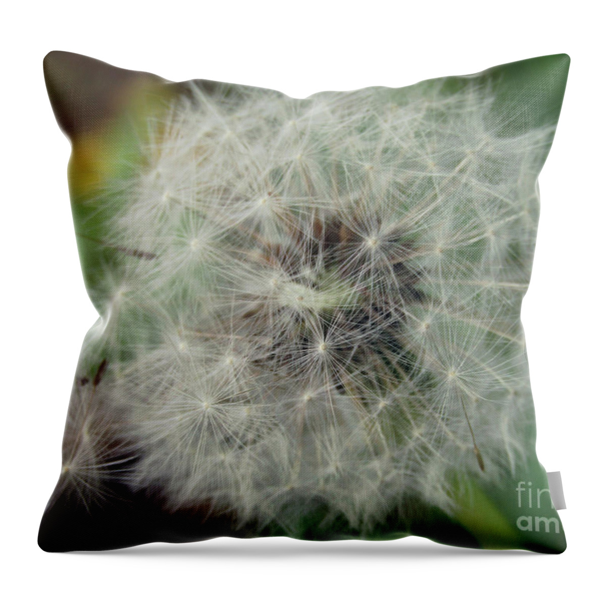 Dandelion Throw Pillow featuring the photograph Day Moon by Kim Tran