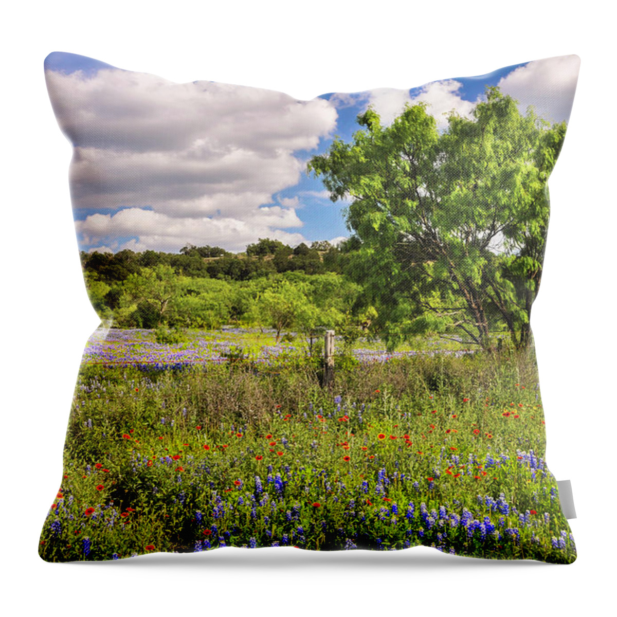 Texas Hill Country.springtime Throw Pillow featuring the photograph Daydreamin' by Lynn Bauer