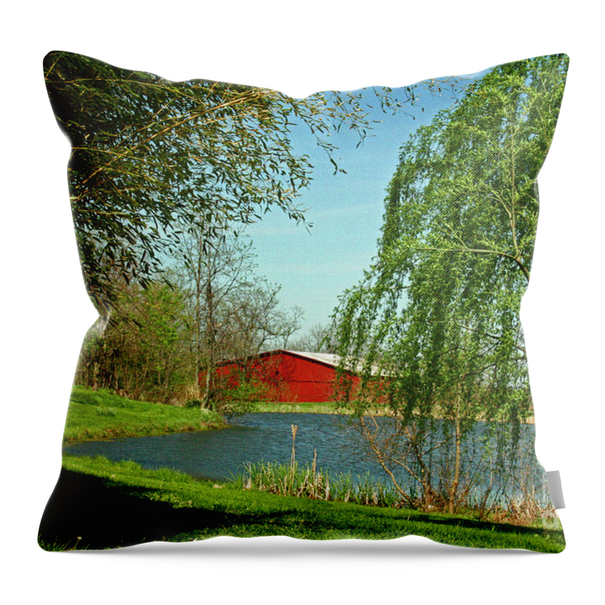 Red Barn Throw Pillow featuring the photograph Daydreamin' by Melissa Mim Rieman