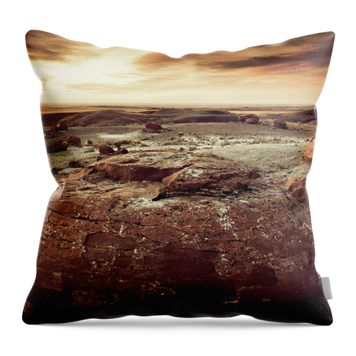 Landscape Throw Pillow featuring the photograph Daylight Leaving Redrock by RicharD Murphy