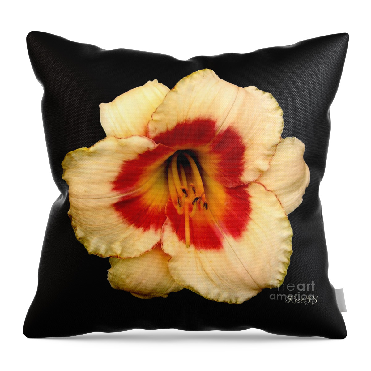 Daylily Throw Pillow featuring the photograph Daylily 3 by Rose Santuci-Sofranko