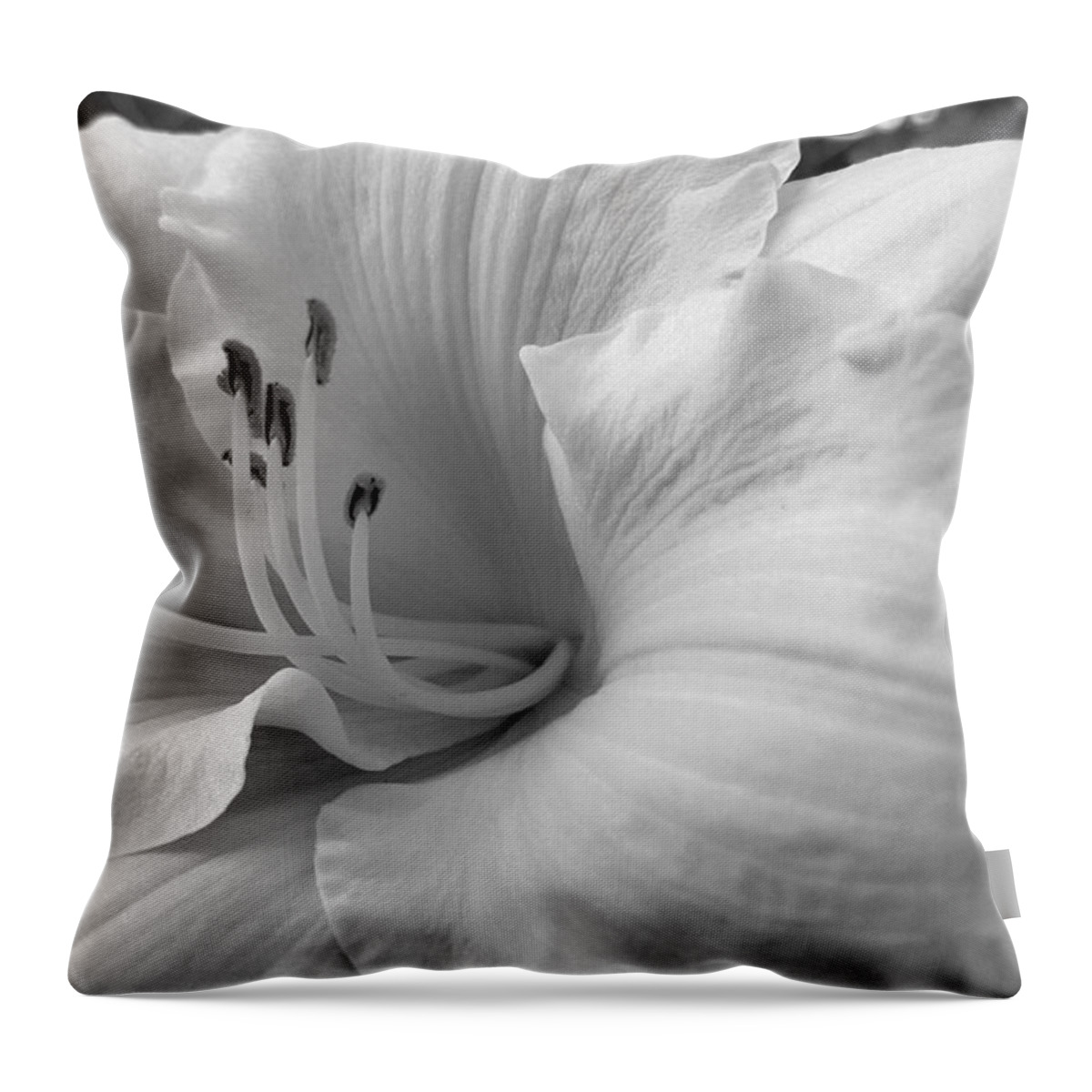Daylily Throw Pillow featuring the photograph Daylily Delight in Black and White by Rachel Hannah