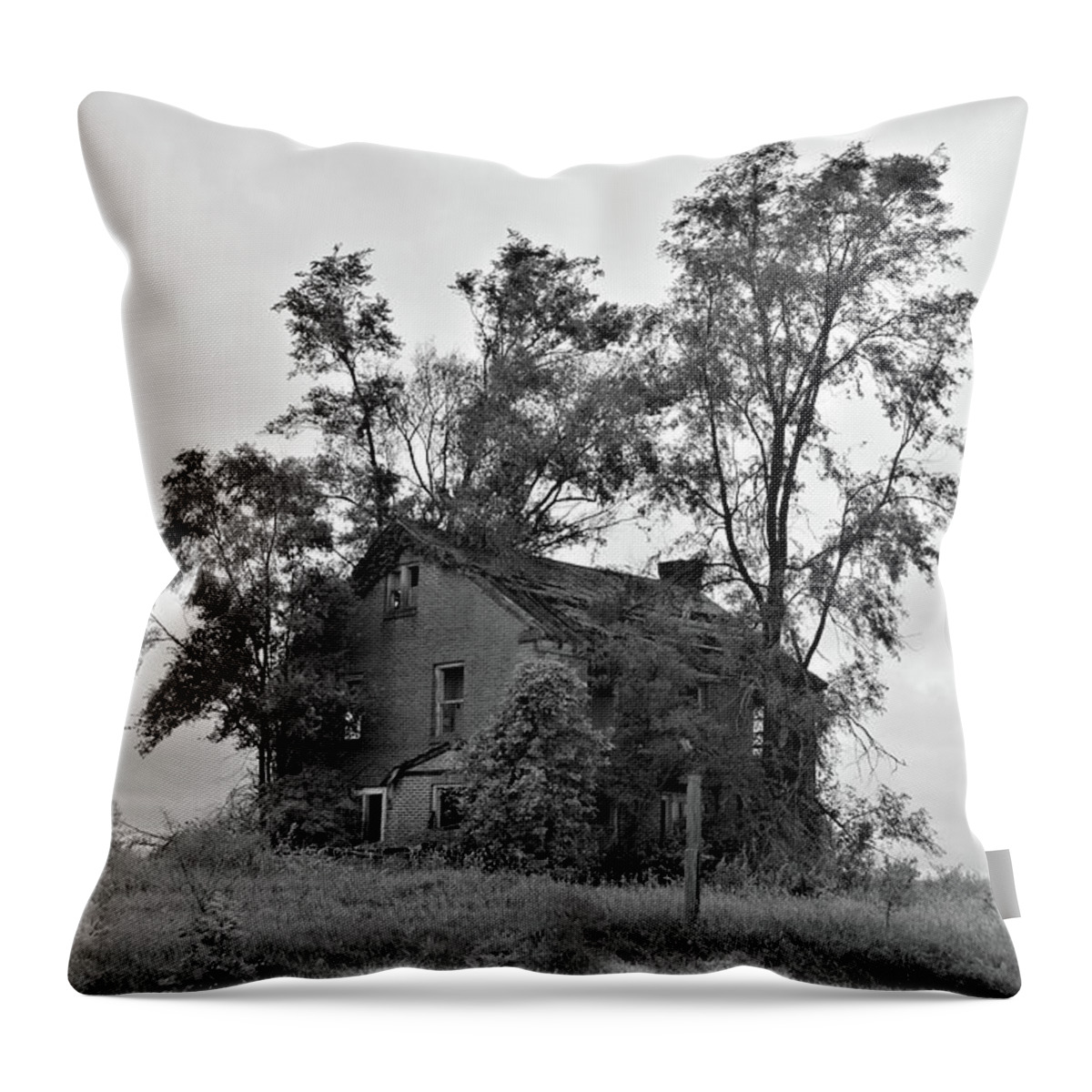 Home Throw Pillow featuring the photograph Days Gone By BNW by Bonfire Photography