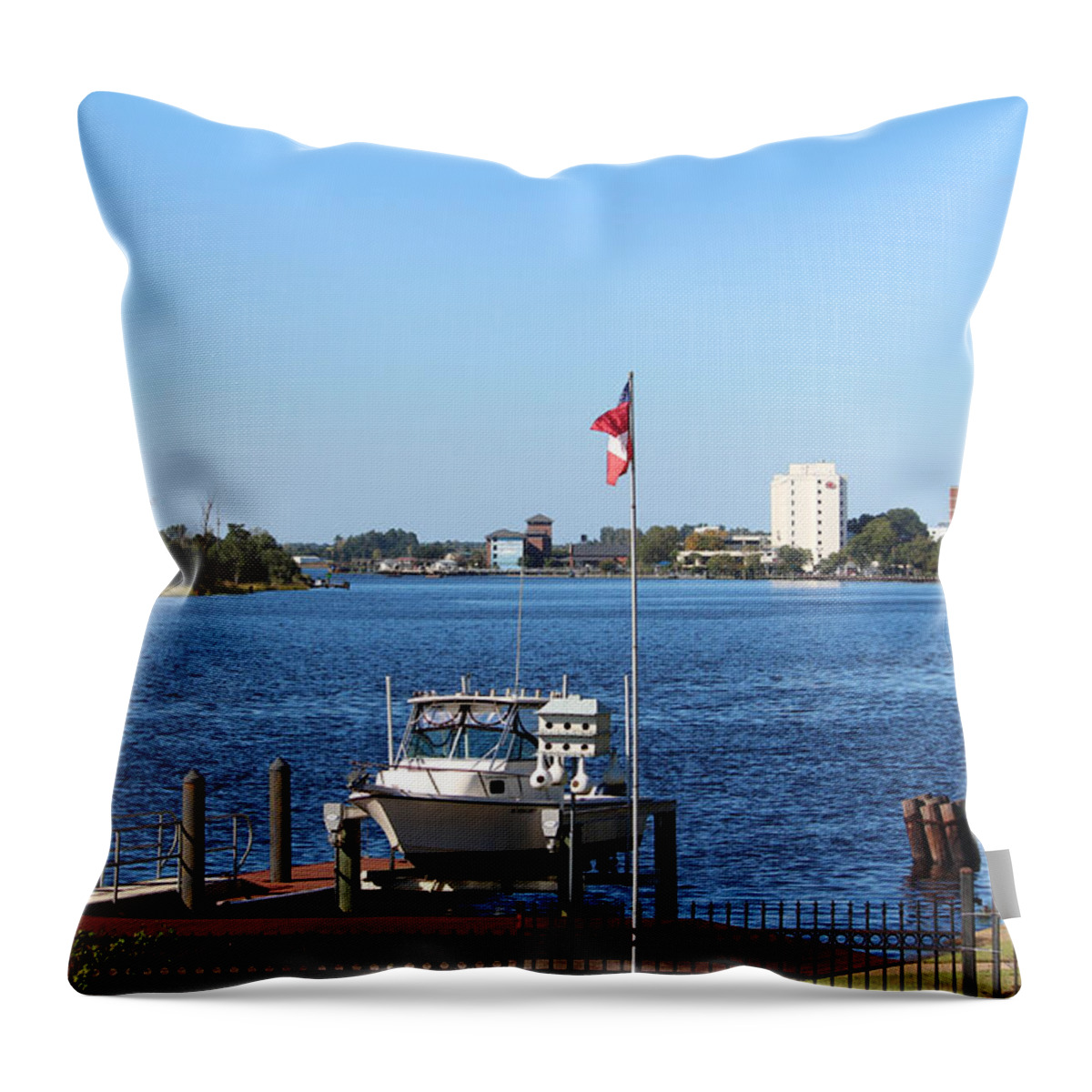 View Throw Pillow featuring the photograph Daytime Beauty by Cynthia Guinn
