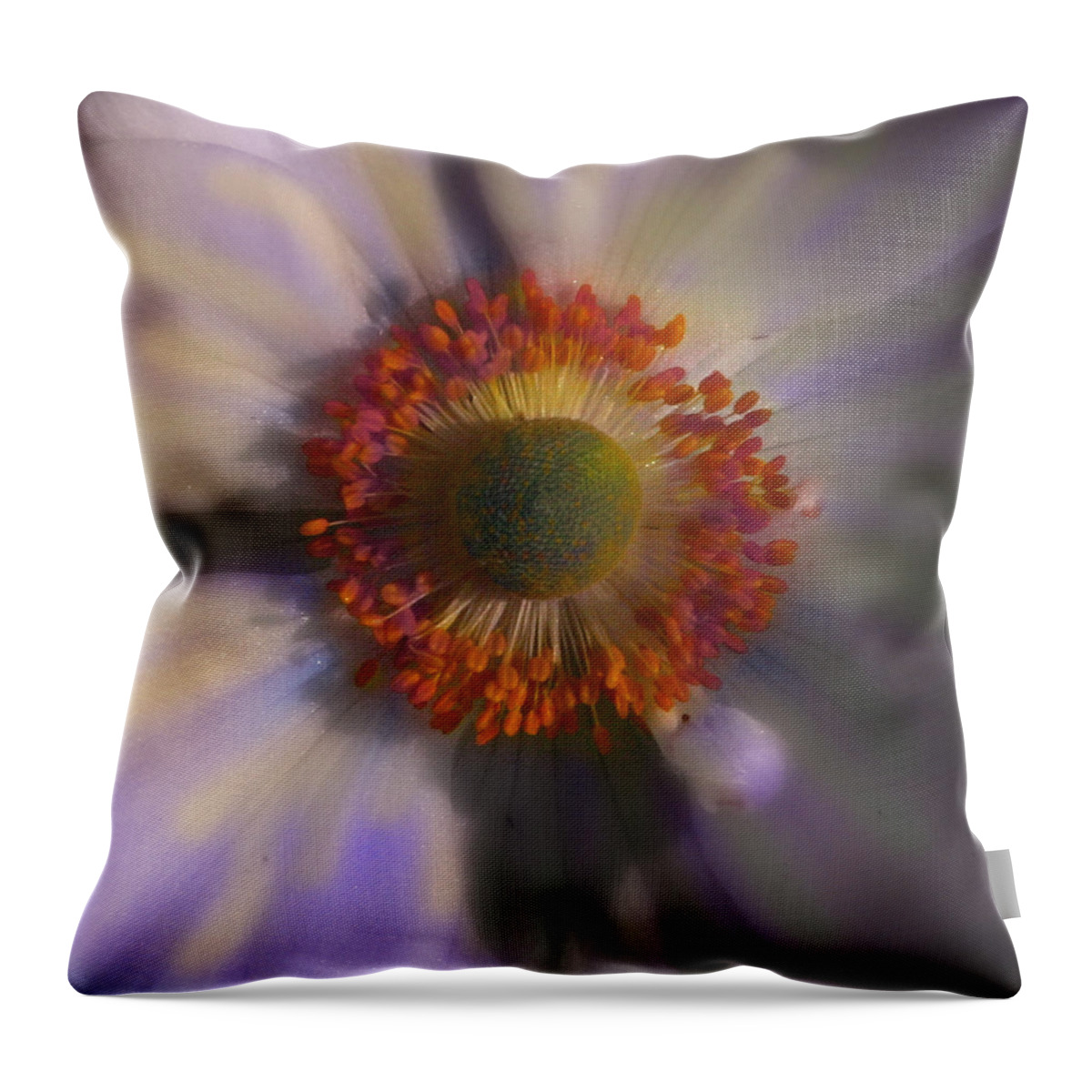 Flower Throw Pillow featuring the photograph Dazie Eye by Joseph G Holland