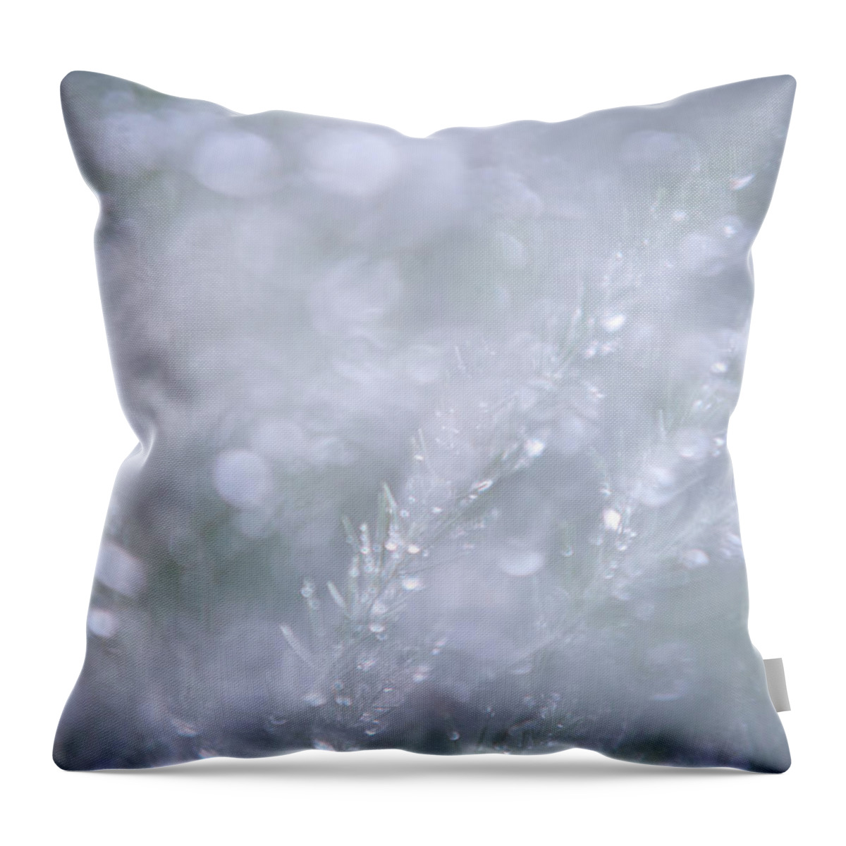 Jenny Rainbow Fine Art Photography Throw Pillow featuring the photograph Dazzling Silver World by Jenny Rainbow