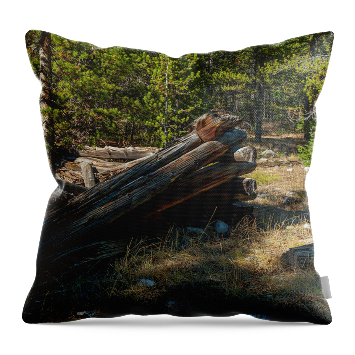 Ruins Throw Pillow featuring the photograph DDP DJD 1880s Montana Cabin Remains 1 by David Drew