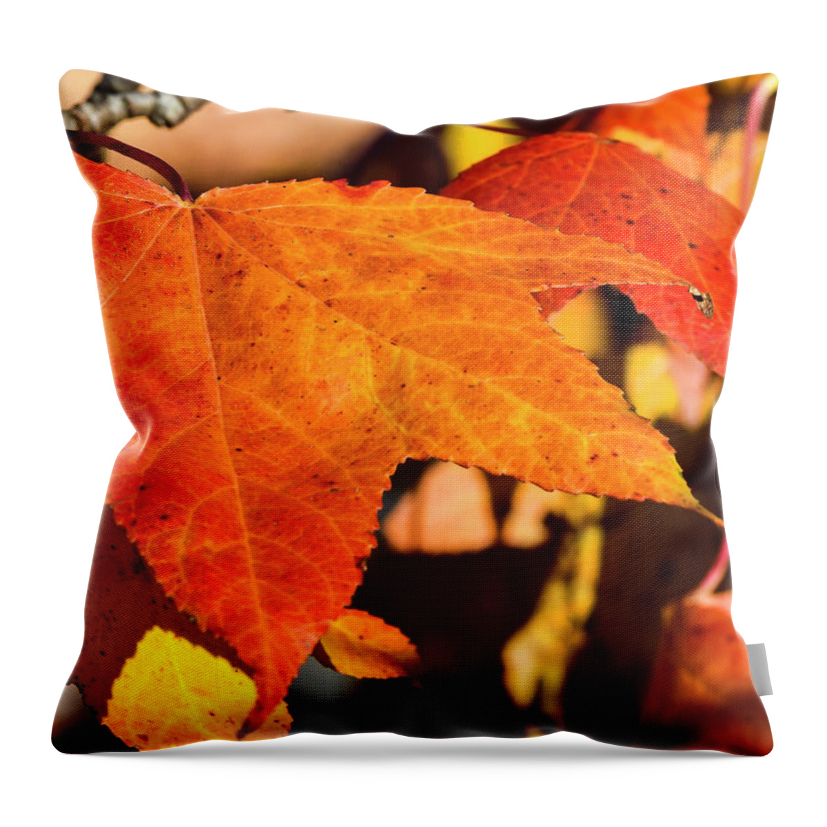 Kansas Throw Pillow featuring the photograph DDP DJD Autumn Sweetgum Leaf 1634 by David Drew