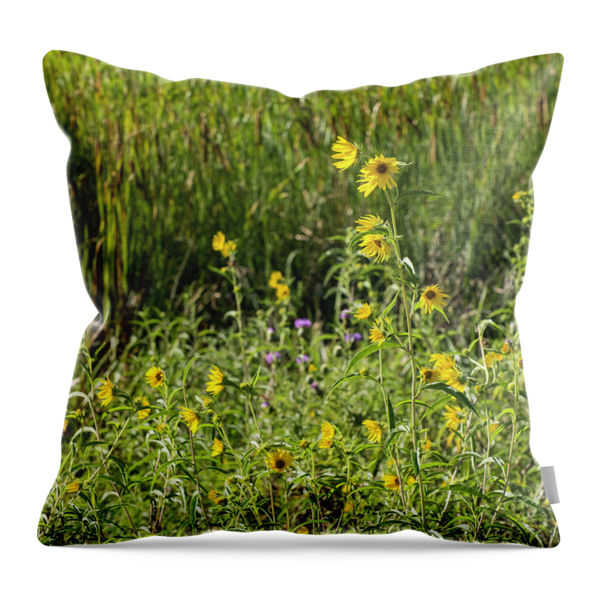 Sunflowers Throw Pillow featuring the photograph DDP DJD Sunflowers 2619 by David Drew