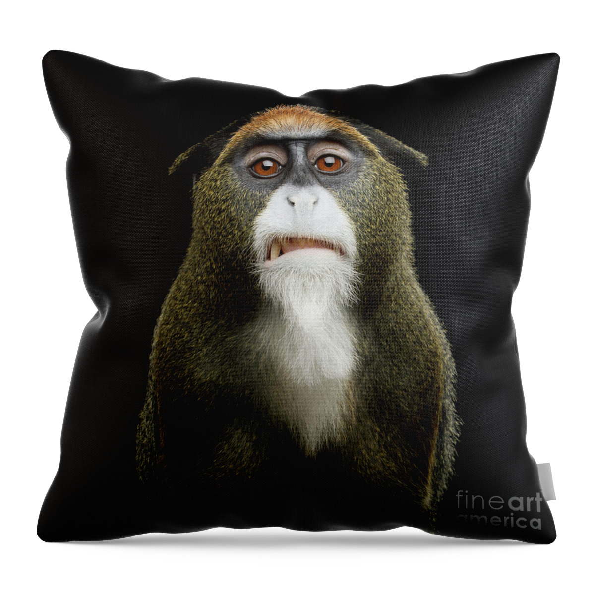 De Brazza's Throw Pillow featuring the photograph De Brazza's monkey hater by Sergey Taran