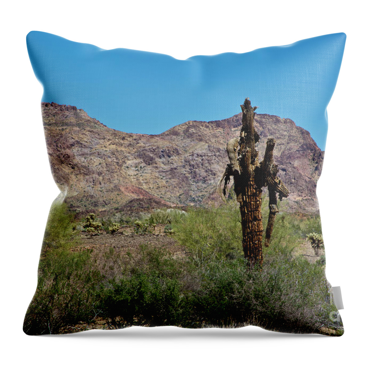 Arizona Throw Pillow featuring the photograph Dead but Not Fallen by Kathy McClure