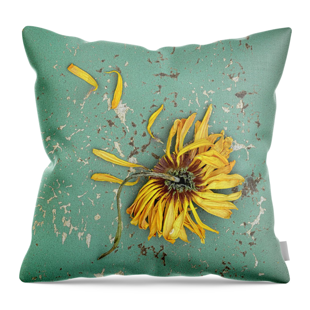 Flower Throw Pillow featuring the photograph Dead Suflower by Jill Battaglia