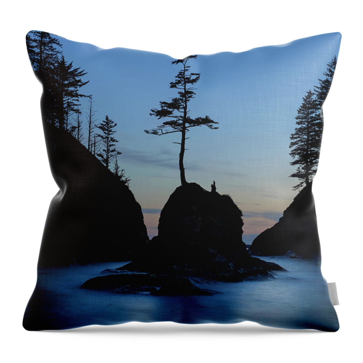 Deadmans Throw Pillow featuring the photograph Deadman's Cove at Cape Disappointment at Twilight by David Gn