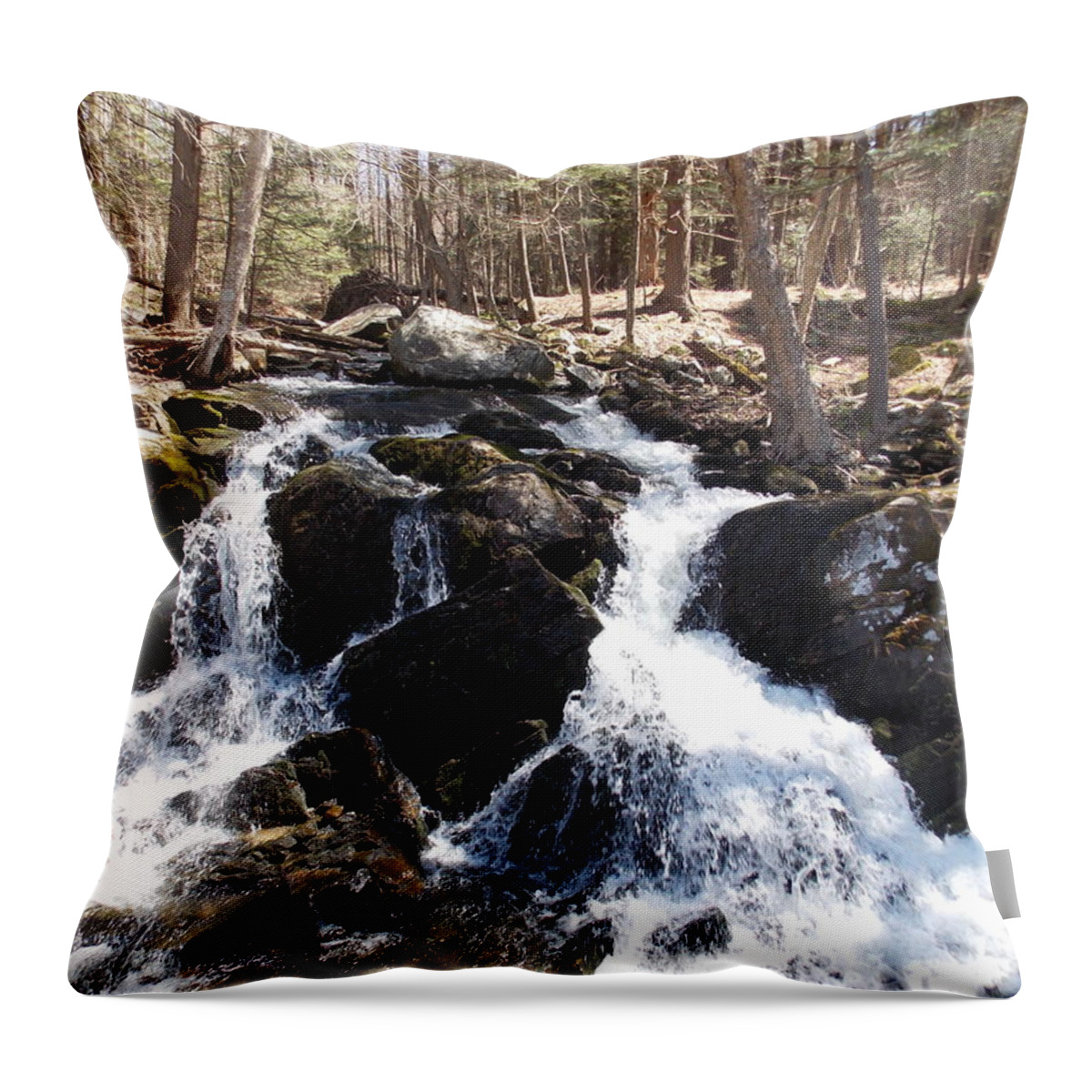 Deans Ravine Throw Pillow featuring the photograph Deans Ravine by Catherine Gagne