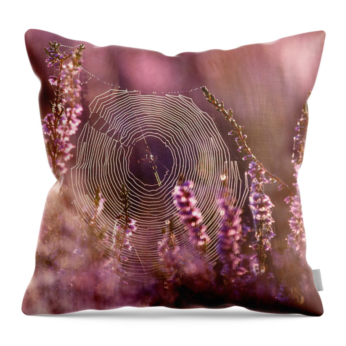 Heather Throw Pillow featuring the photograph Dear Heather - Heath in Bloom by Roeselien Raimond
