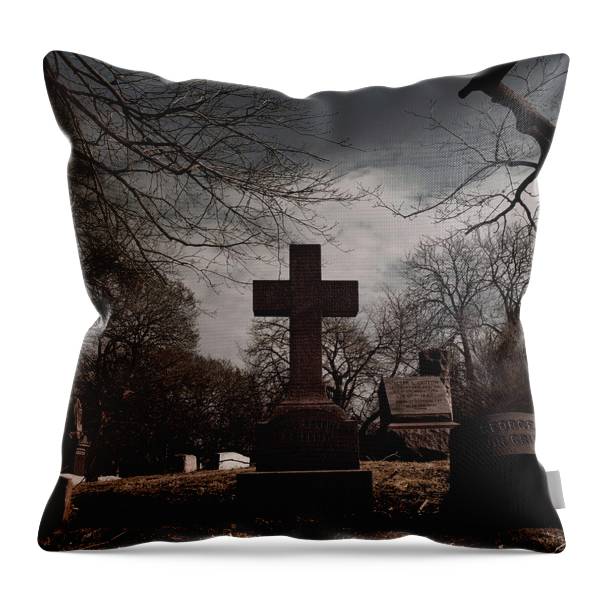Grave Throw Pillow featuring the photograph Death to Dawn by J C