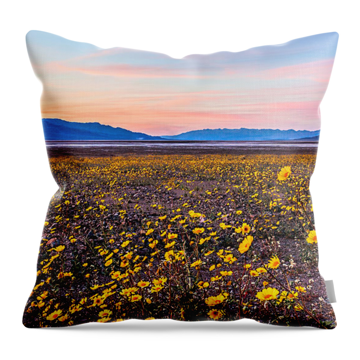 Death Valley Throw Pillow featuring the photograph Death Valley Sunset by Rick Wicker