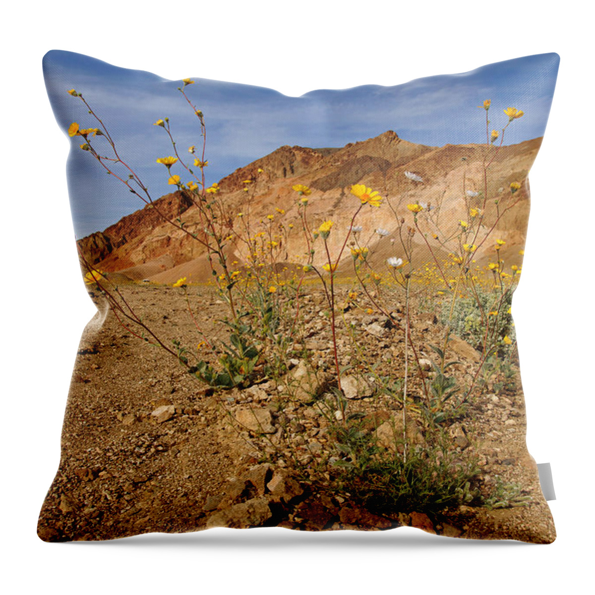 Superbloom 2016 Throw Pillow featuring the photograph Death Valley Superbloom 202 by Daniel Woodrum