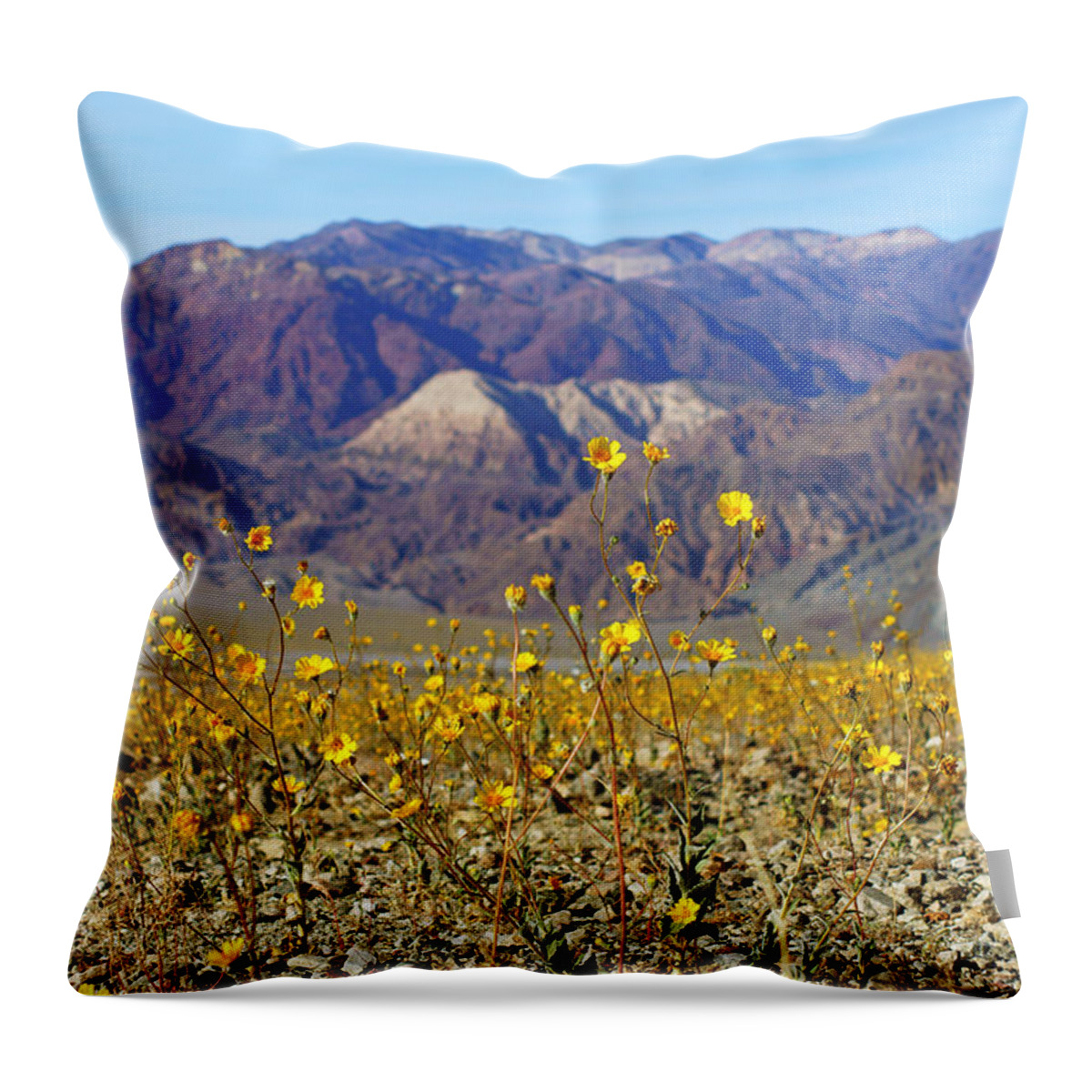 Superbloom 2016 Throw Pillow featuring the photograph Death Valley Superbloom 405 by Daniel Woodrum