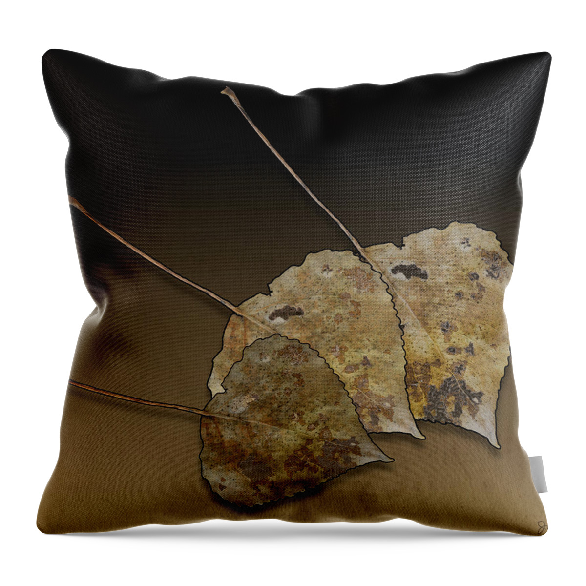 Leaves Throw Pillow featuring the photograph Decaying Leaves by Joe Bonita