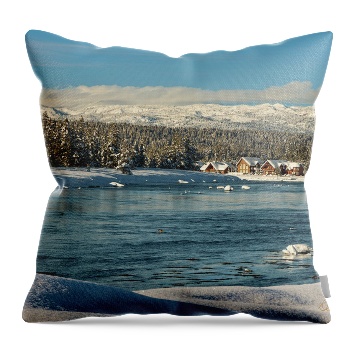Winter Throw Pillow featuring the photograph December Dream by Dan McGeorge