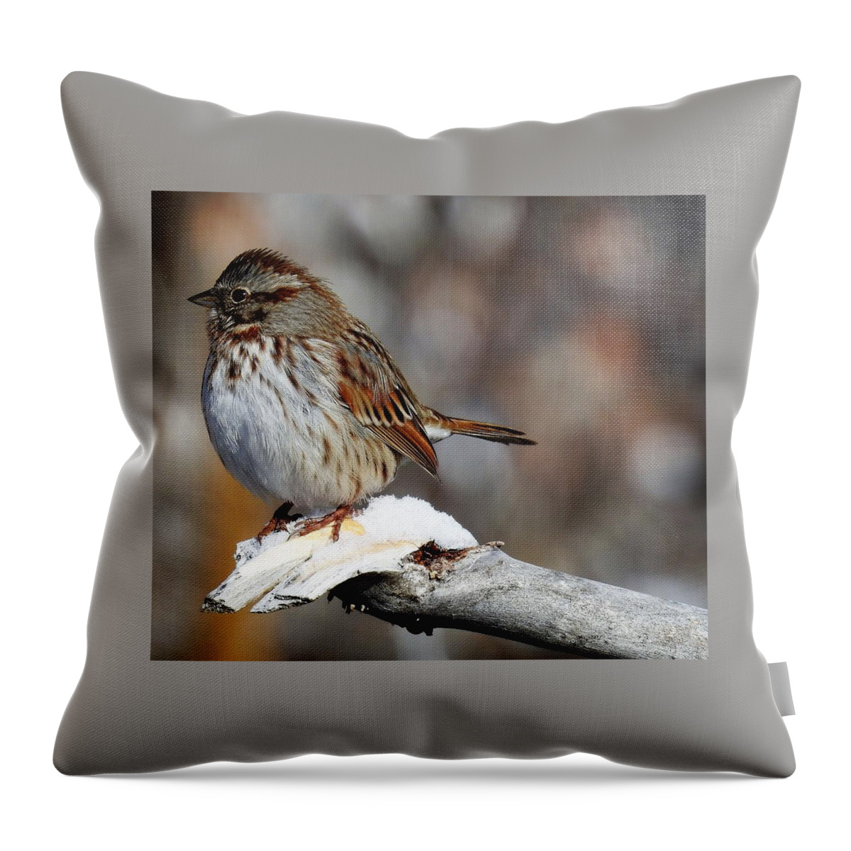 Bird Throw Pillow featuring the photograph December Tree Sparrow by Nicole Belvill