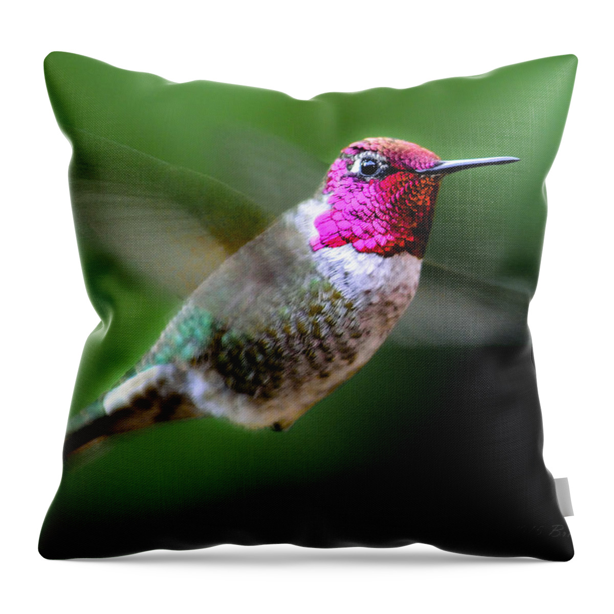 Anna's Throw Pillow featuring the photograph December Hummer by Brian Tada