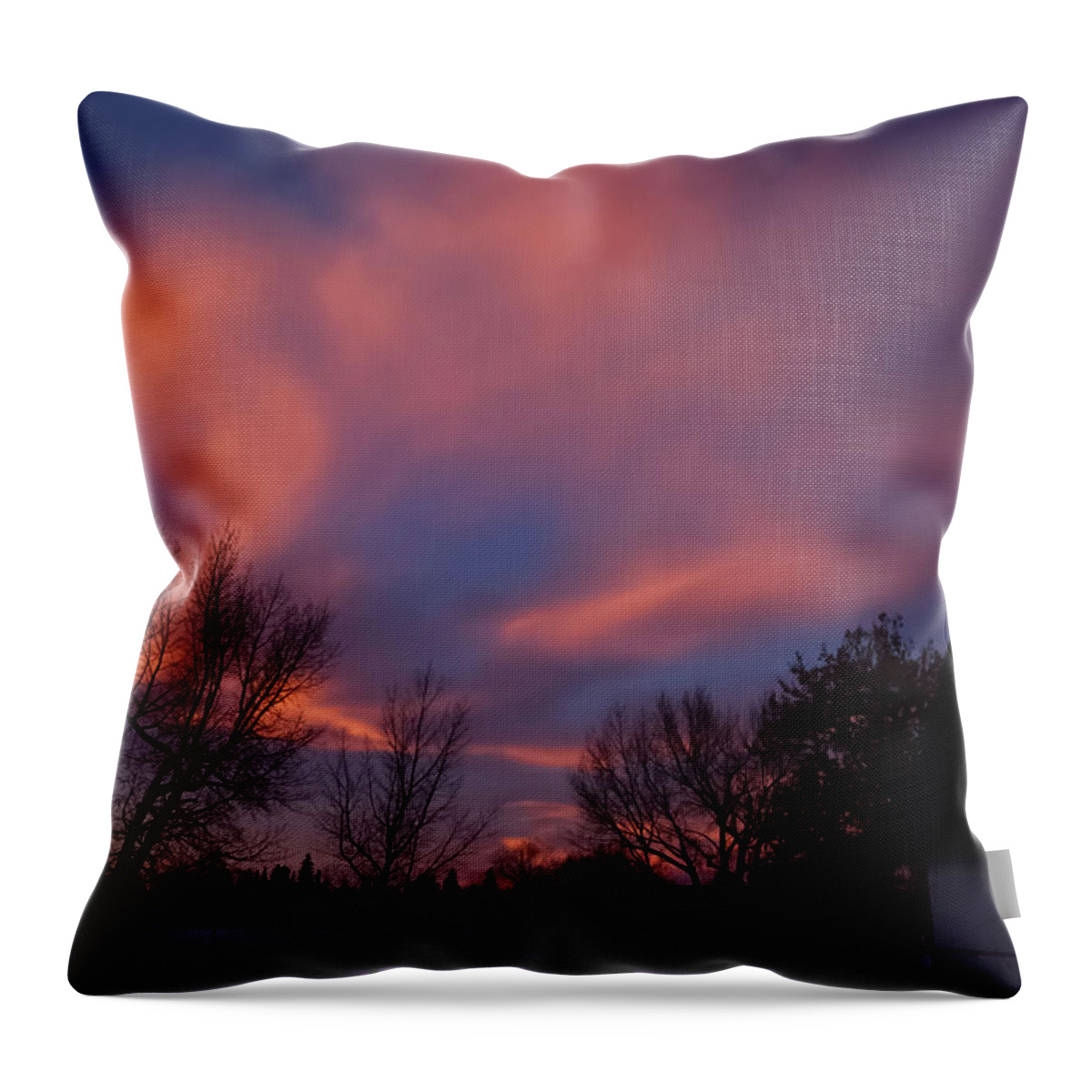 Landscape Throw Pillow featuring the photograph December Skies by Ellery Russell