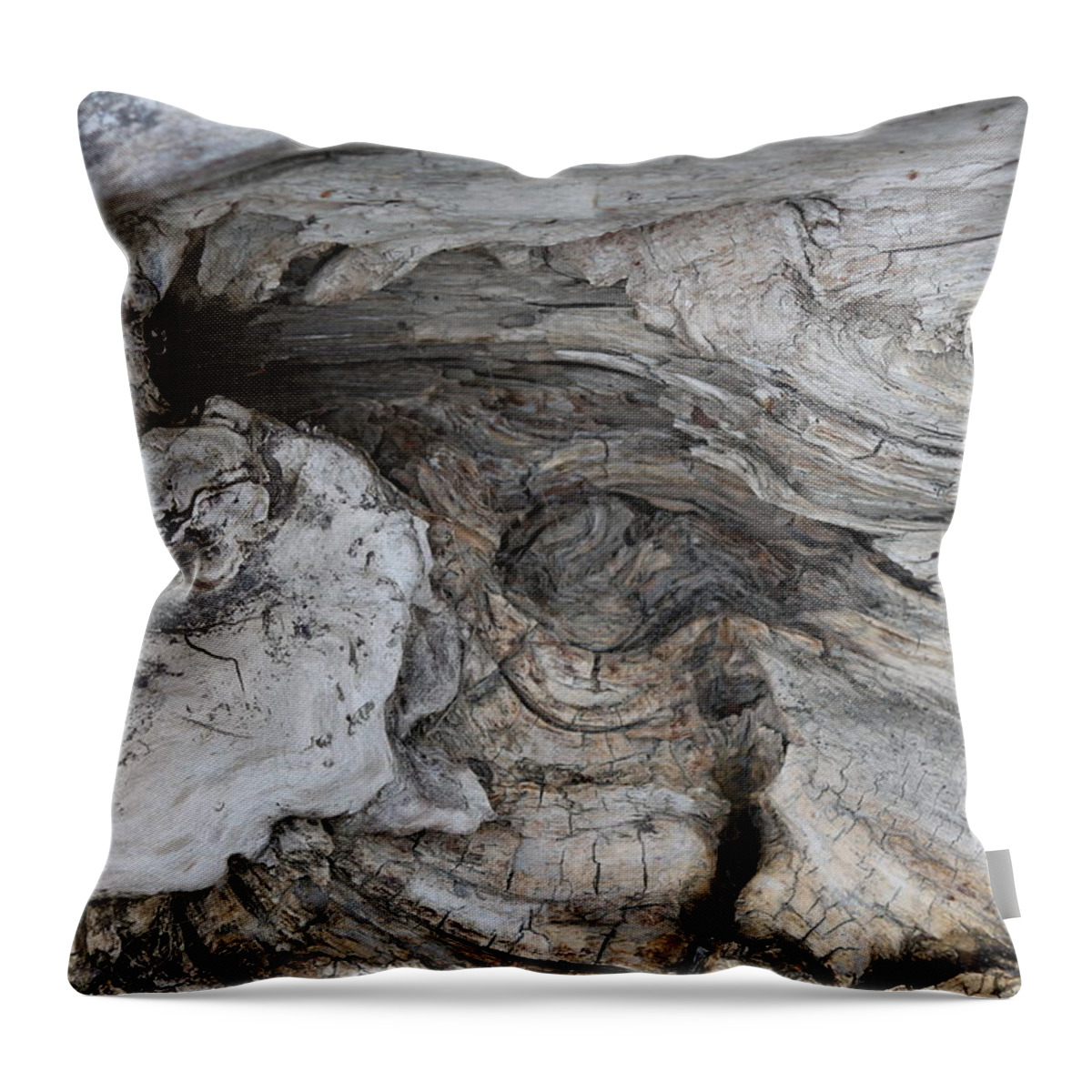 Tidal Throw Pillow featuring the photograph Decomposition - whorled by Annekathrin Hansen