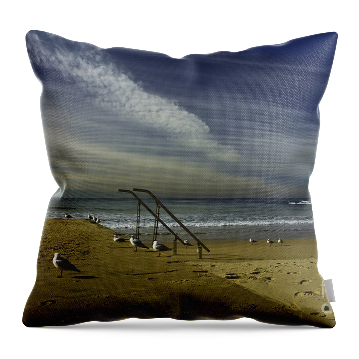 Beach Throw Pillow featuring the photograph Dee Why Beach Sydney by Sheila Smart Fine Art Photography