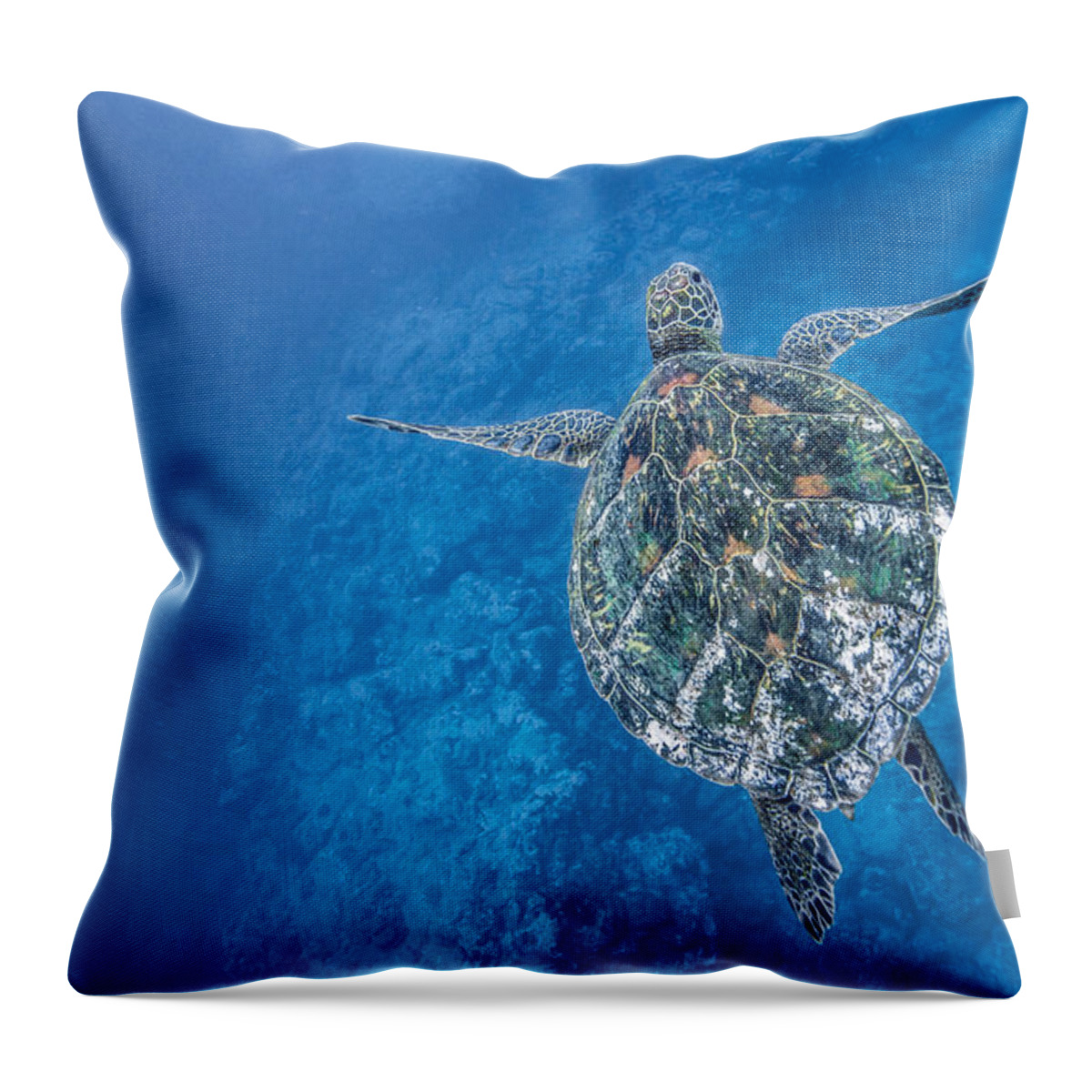 Hawaiian Sea Turtle Throw Pillow featuring the photograph Deep Blue Turtle by Leonardo Dale