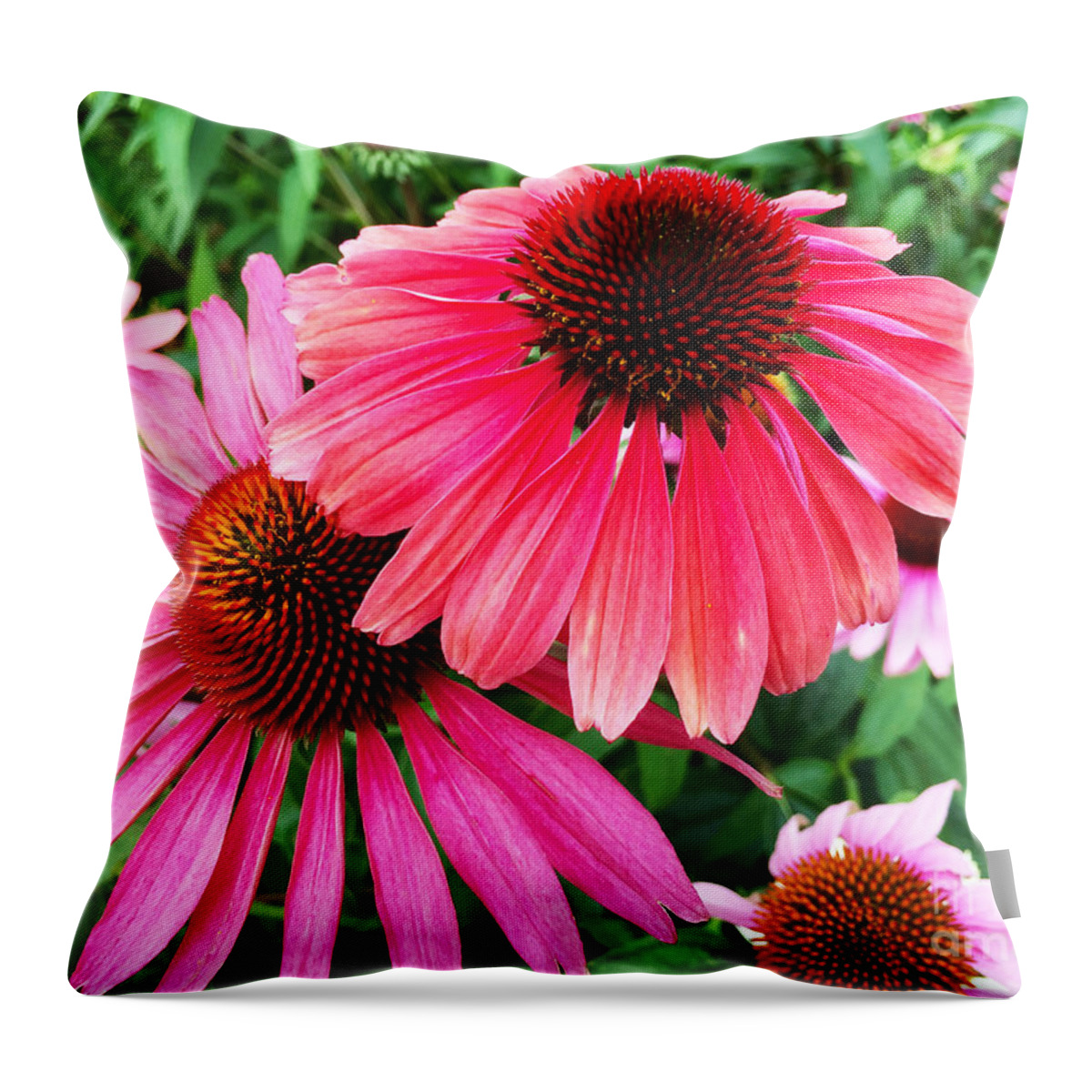 Daisy Throw Pillow featuring the photograph Deep Down We Are All the Same by Beth Saffer