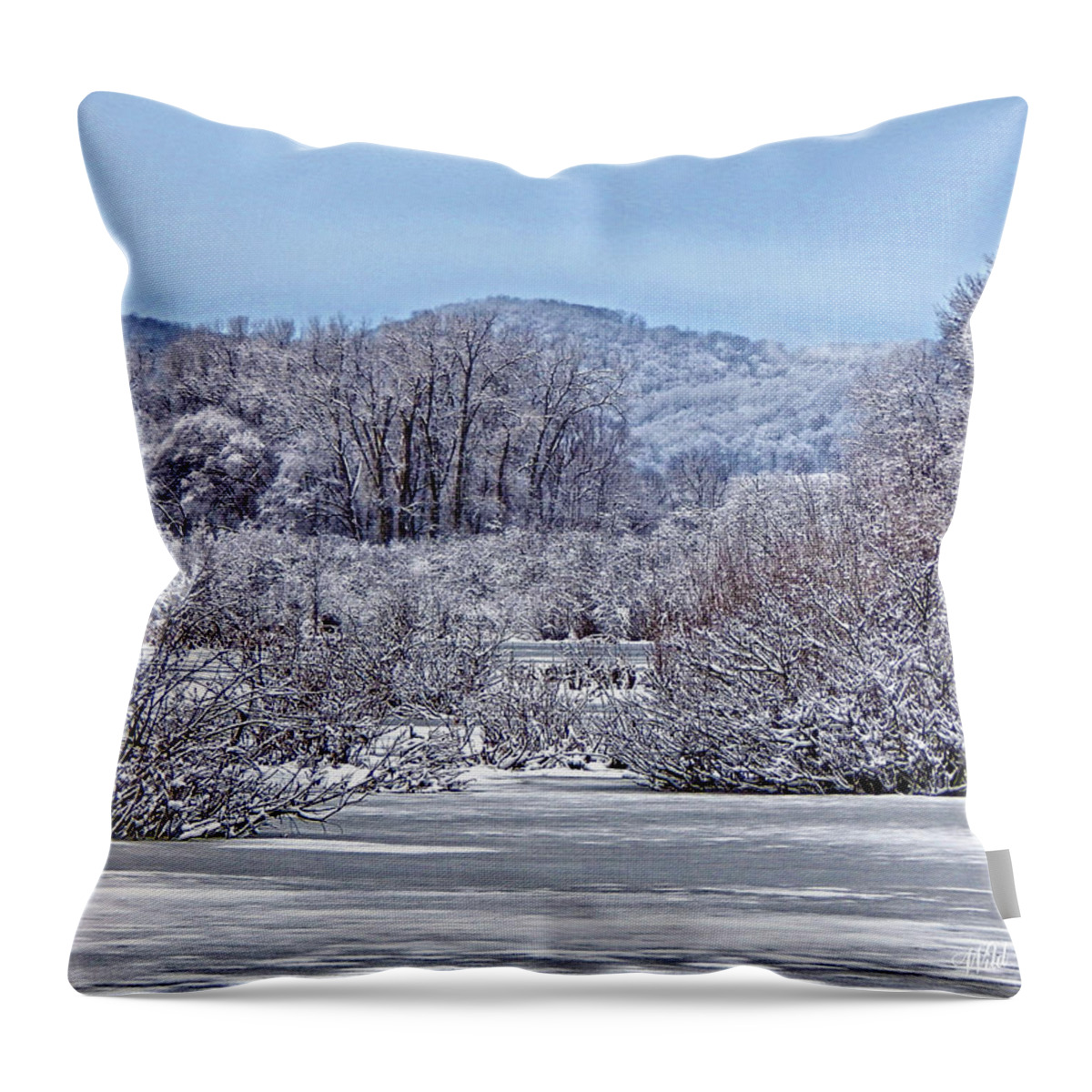 Winter Throw Pillow featuring the photograph Deep in the Swamp by Wild Thing