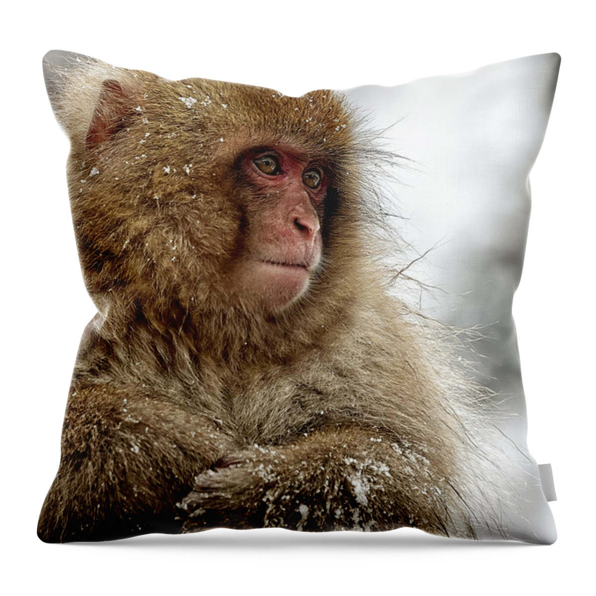Snow Monkey Throw Pillow featuring the photograph Deep in Thought by Kuni Photography