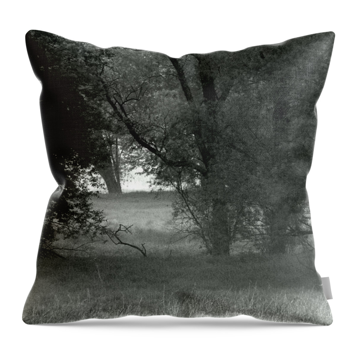 Swamp Throw Pillow featuring the photograph Deep into the Swamp by Wild Thing