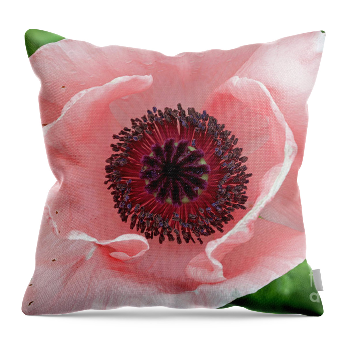 Flower Throw Pillow featuring the photograph Deep Pink by Jim Gillen