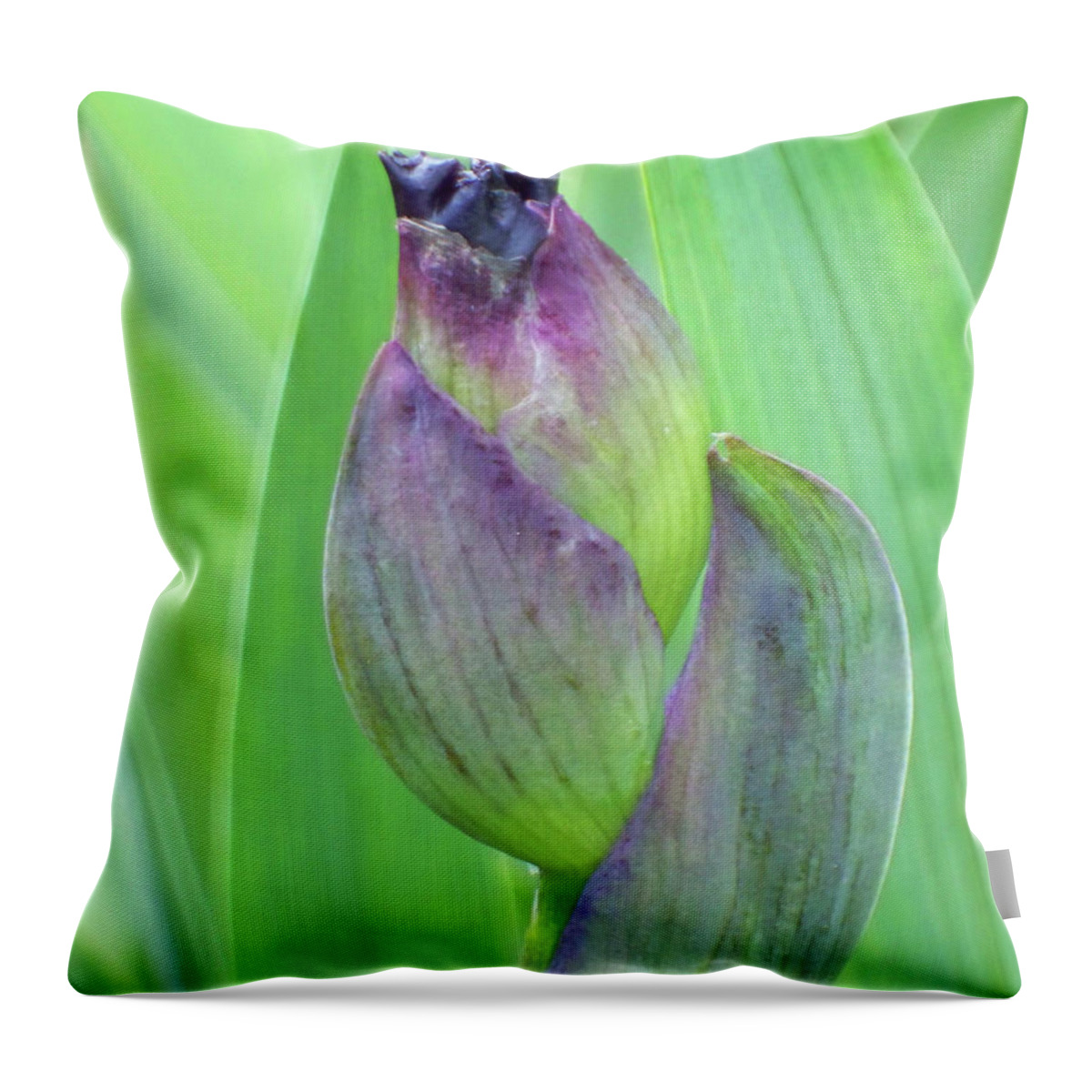 Flowers Throw Pillow featuring the photograph Deep Purple Promise by Cris Fulton