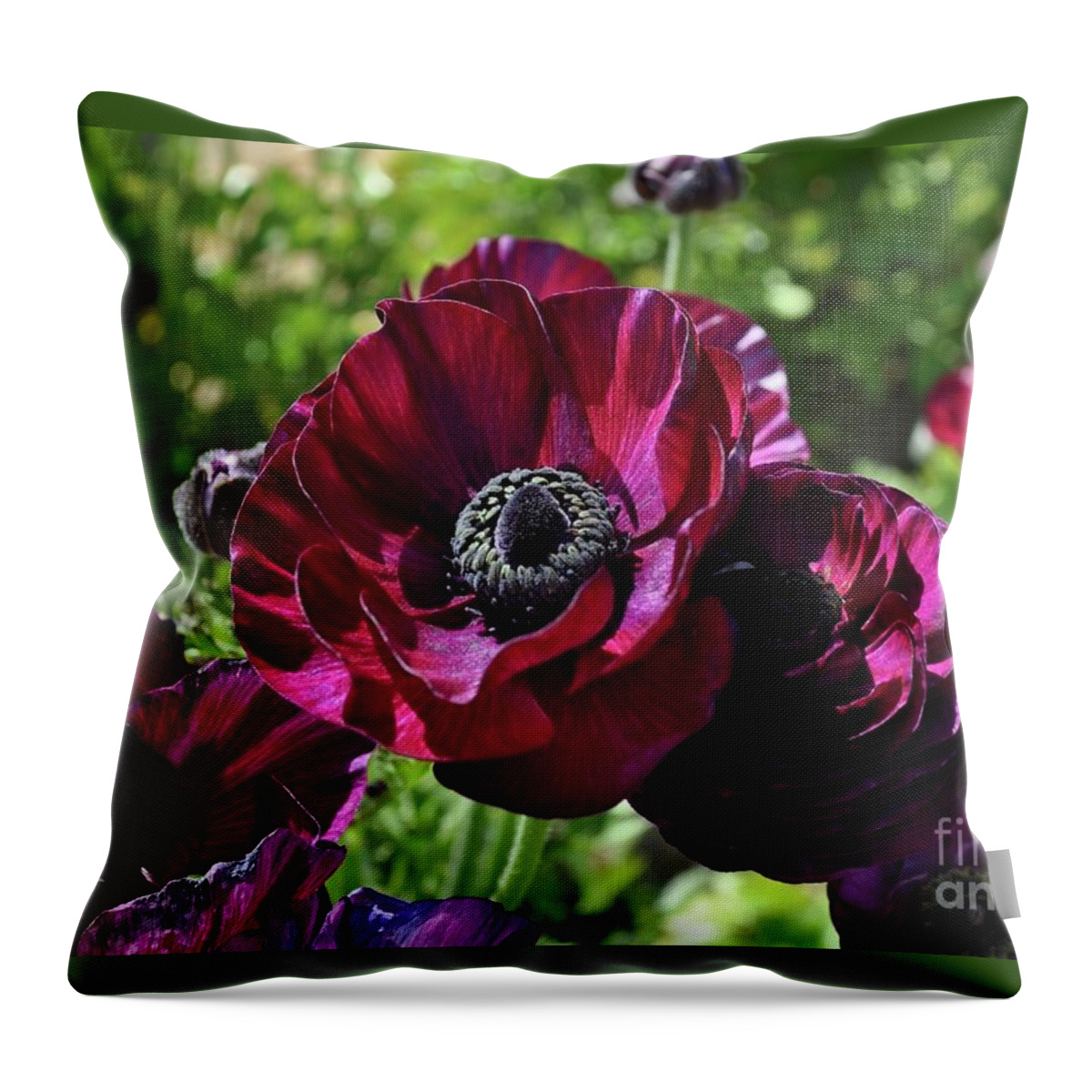 Fuchsia Throw Pillow featuring the photograph Deep Ranunculus by Bridgette Gomes