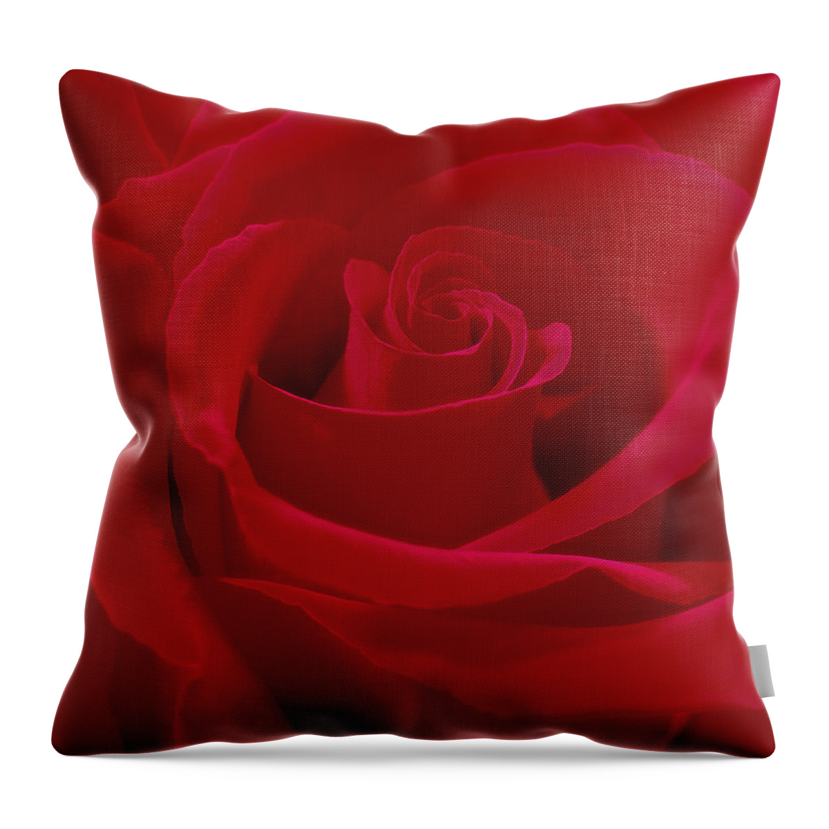 Red Rose Throw Pillow featuring the photograph Deep Red Rose by Mike McGlothlen