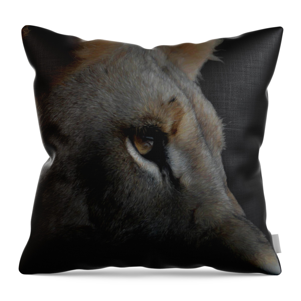 Africa Throw Pillow featuring the digital art Deep Thought by Ernest Echols