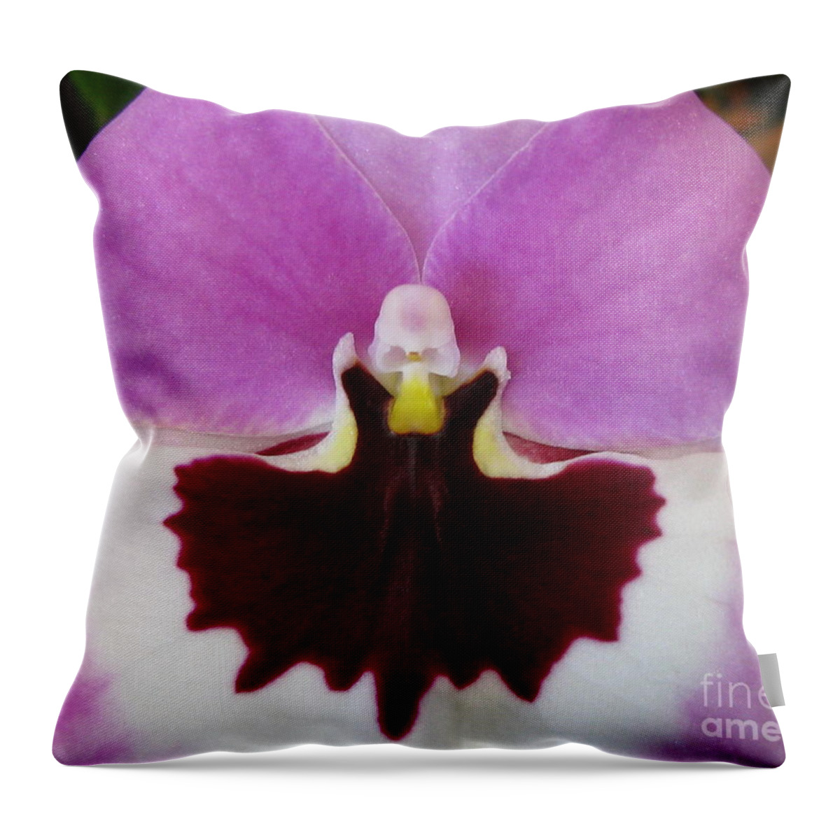 Flower Throw Pillow featuring the photograph Deepening by Holy Hands