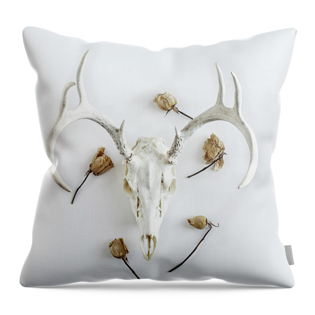 Deer Throw Pillow featuring the photograph Deer skull with antlers and roses by Stephanie Frey