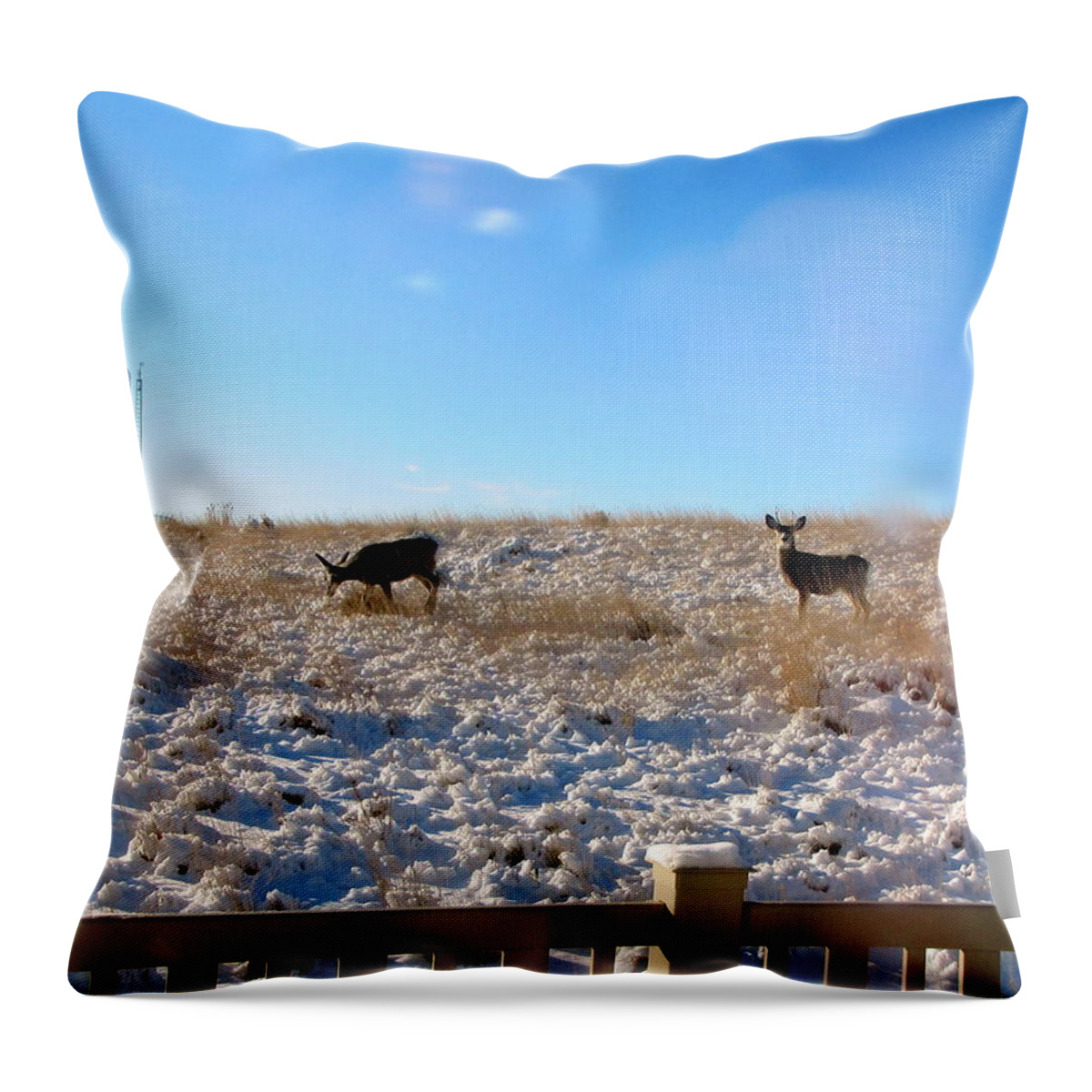 Deers Throw Pillow featuring the photograph Deers in snow. by Oscar Williams