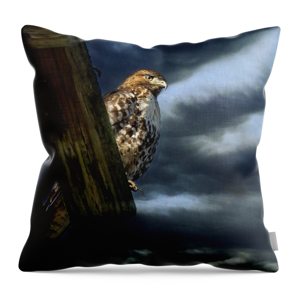 Buteo Throw Pillow featuring the photograph Defiance by Belinda Greb