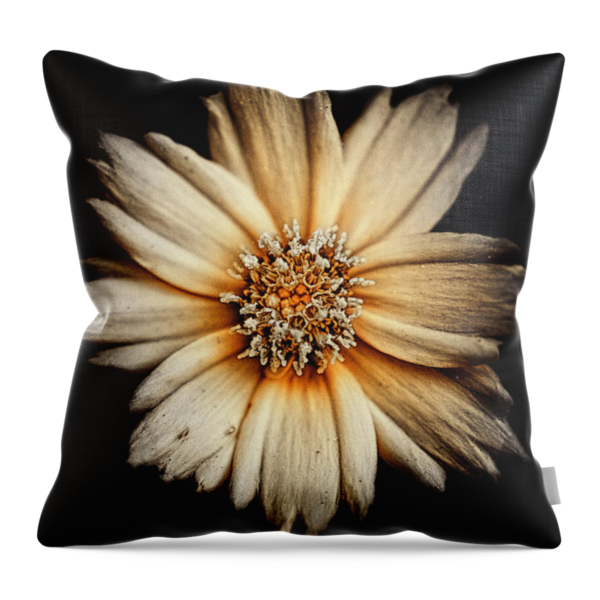 Flower Throw Pillow featuring the photograph Deflowering by Scott Wyatt